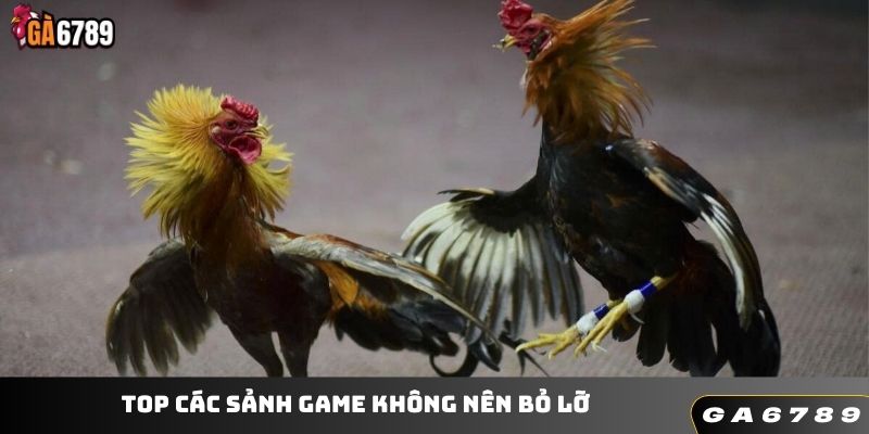 Top các sảnh game không nên bỏ lỡ